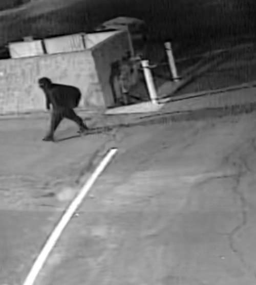 Lemoore Police Department seeks public's help in identifying suspects in downtown burglary